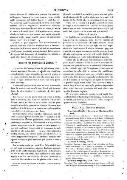 Minerva rassegna internazionale