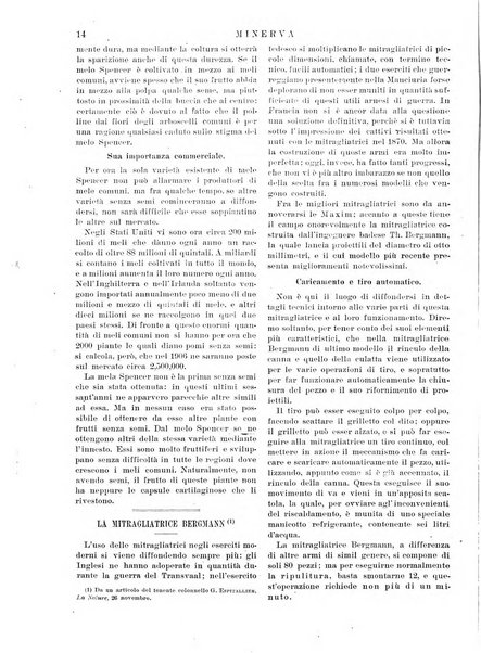 Minerva rassegna internazionale