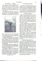 giornale/CFI0358541/1905/unico/00000037