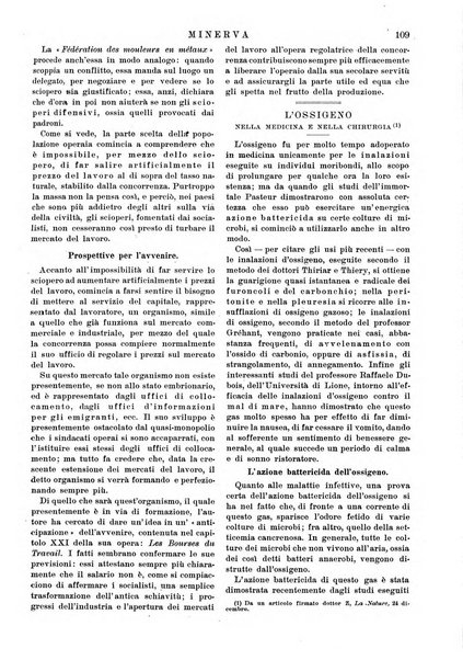 Minerva rassegna internazionale