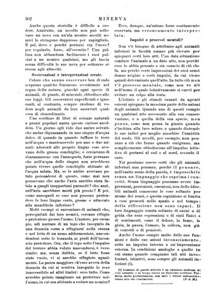 Minerva rassegna internazionale