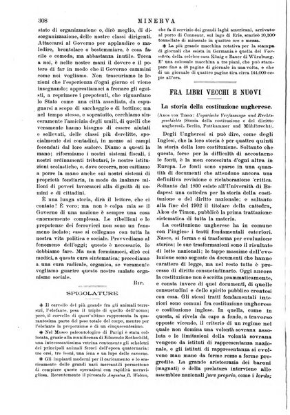 Minerva rassegna internazionale