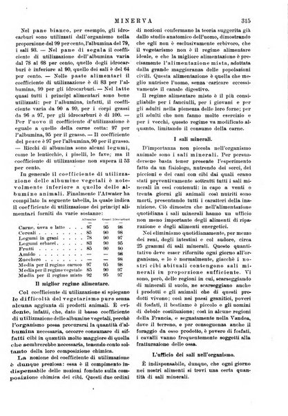 Minerva rassegna internazionale