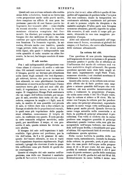 Minerva rassegna internazionale