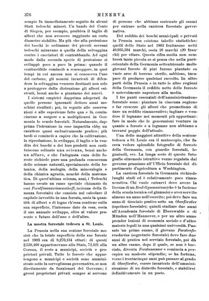 Minerva rassegna internazionale