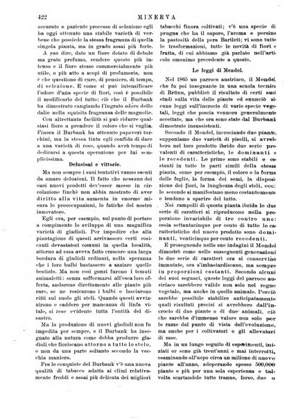 Minerva rassegna internazionale