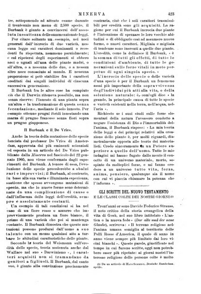 Minerva rassegna internazionale