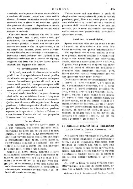 Minerva rassegna internazionale