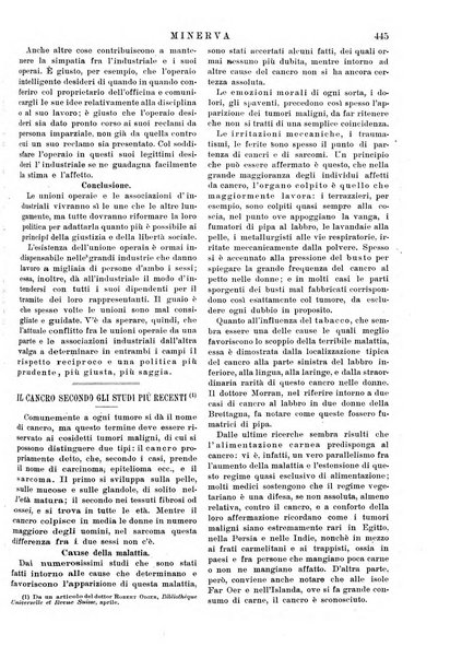 Minerva rassegna internazionale