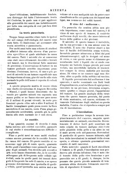 Minerva rassegna internazionale