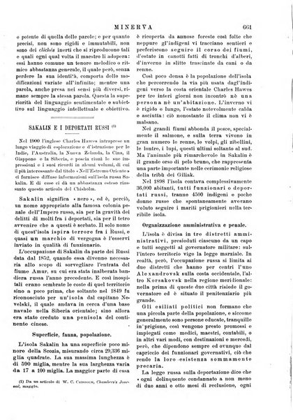 Minerva rassegna internazionale