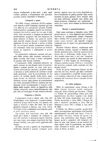 Minerva rassegna internazionale