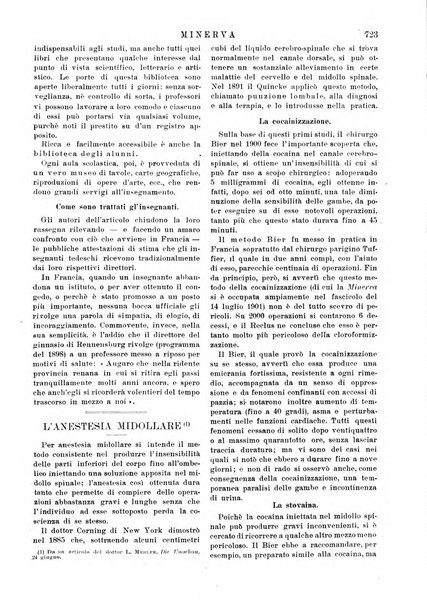 Minerva rassegna internazionale