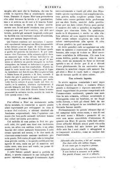 Minerva rassegna internazionale