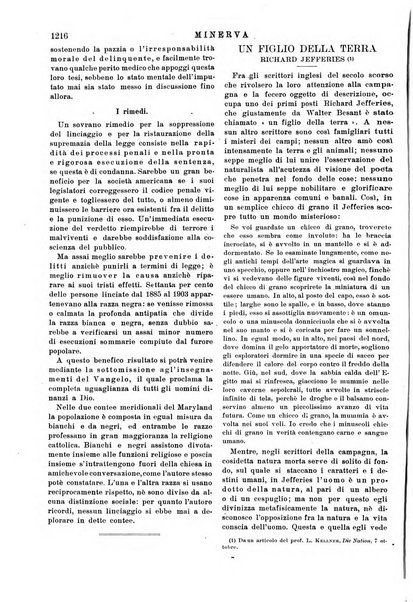 Minerva rassegna internazionale