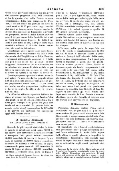 Minerva rassegna internazionale