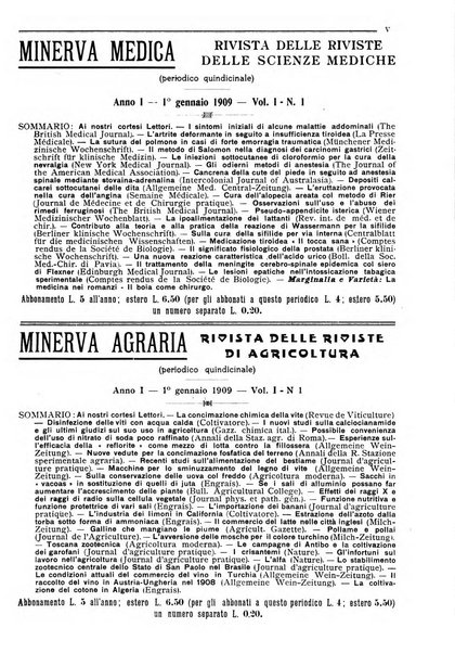 Minerva rassegna internazionale