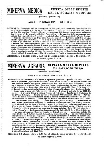 Minerva rassegna internazionale