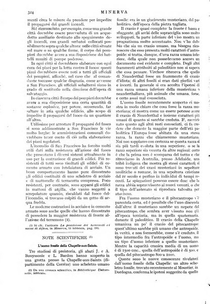 Minerva rassegna internazionale