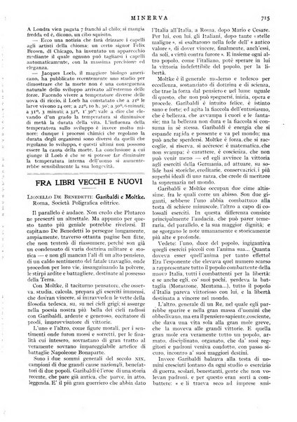 Minerva rassegna internazionale