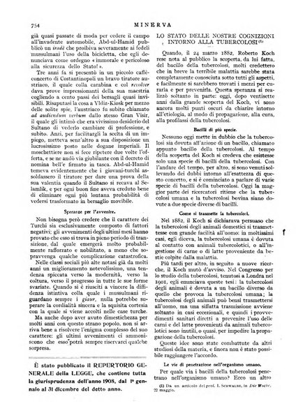 Minerva rassegna internazionale