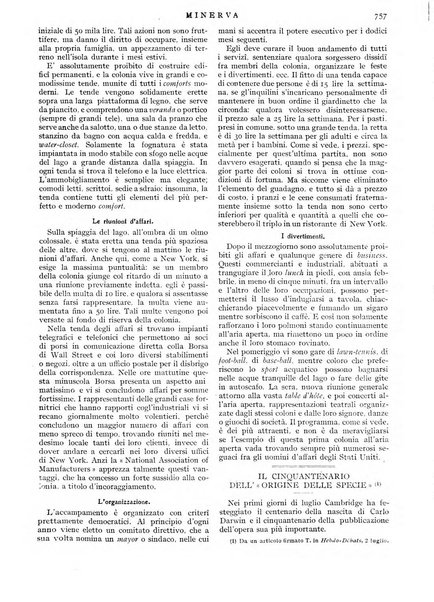 Minerva rassegna internazionale