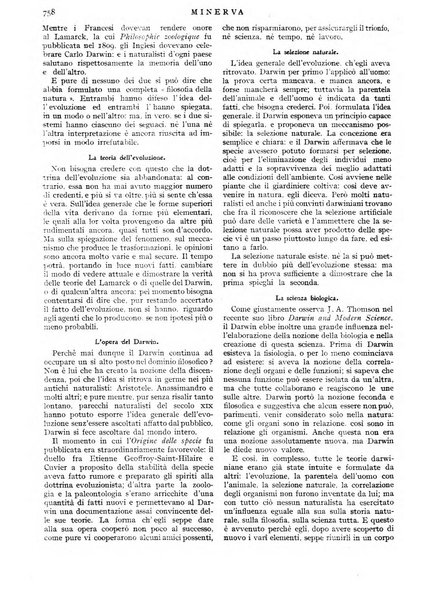 Minerva rassegna internazionale