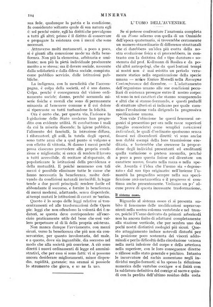 Minerva rassegna internazionale