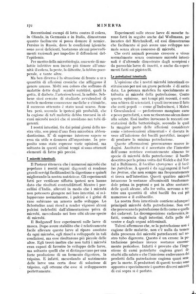 Minerva rassegna internazionale