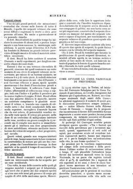 Minerva rassegna internazionale