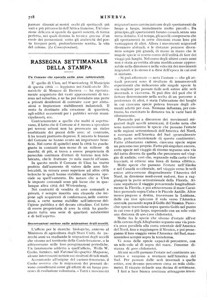 Minerva rassegna internazionale