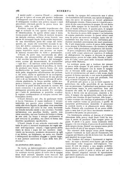 Minerva rassegna internazionale