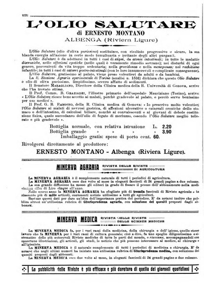 Minerva rassegna internazionale