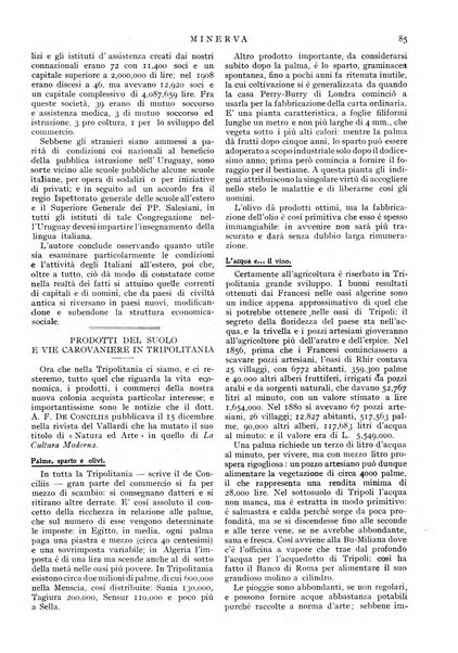 Minerva rassegna internazionale