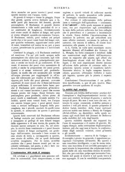 Minerva rassegna internazionale