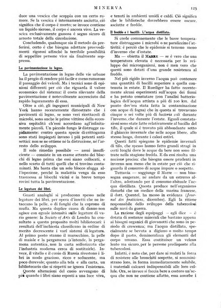 Minerva rassegna internazionale