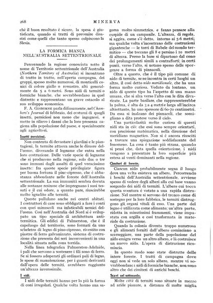 Minerva rassegna internazionale