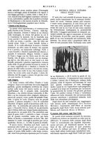 giornale/CFI0358541/1912/unico/00000371