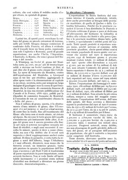 Minerva rassegna internazionale