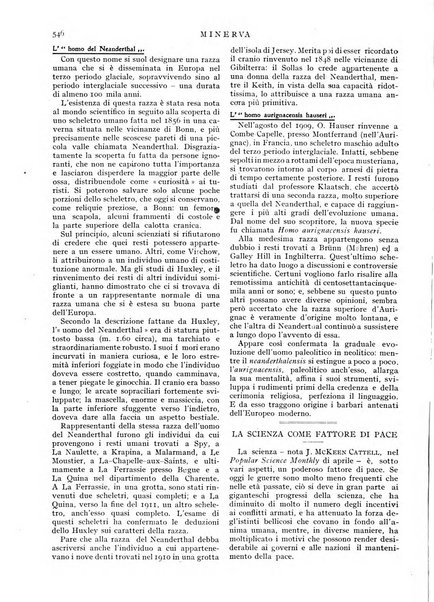 Minerva rassegna internazionale