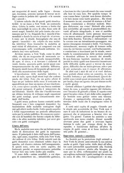 Minerva rassegna internazionale