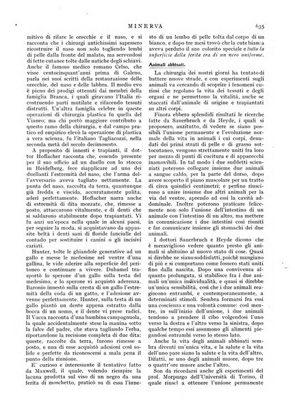 Minerva rassegna internazionale