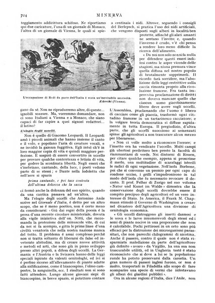 Minerva rassegna internazionale