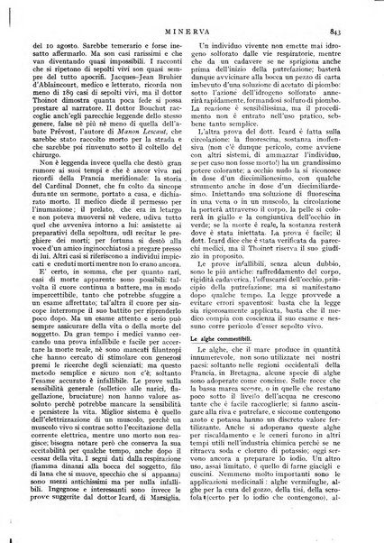 Minerva rassegna internazionale