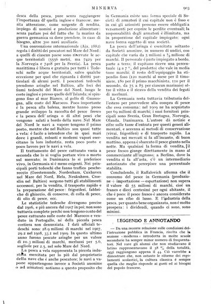 Minerva rassegna internazionale