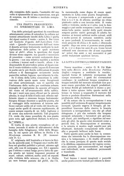 Minerva rassegna internazionale