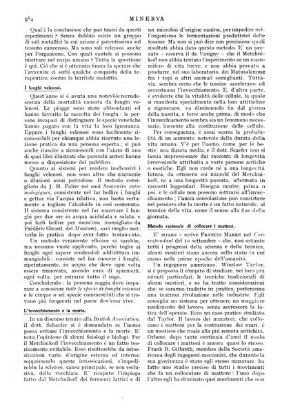 Minerva rassegna internazionale