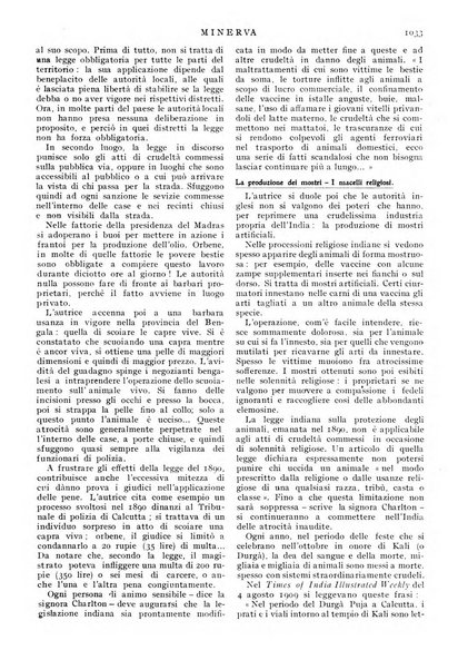 Minerva rassegna internazionale