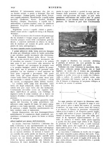 Minerva rassegna internazionale