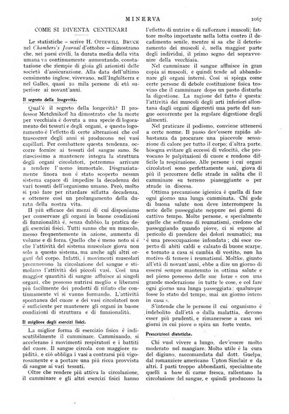 Minerva rassegna internazionale